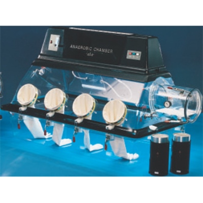 855-AC型厌氧培养箱